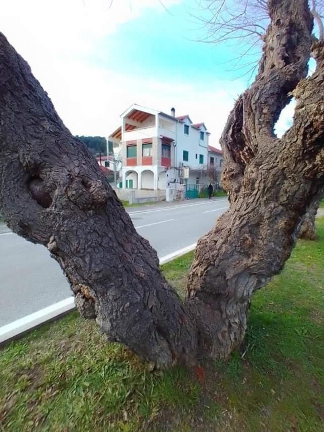 Apartments Pulic Skradin Esterno foto